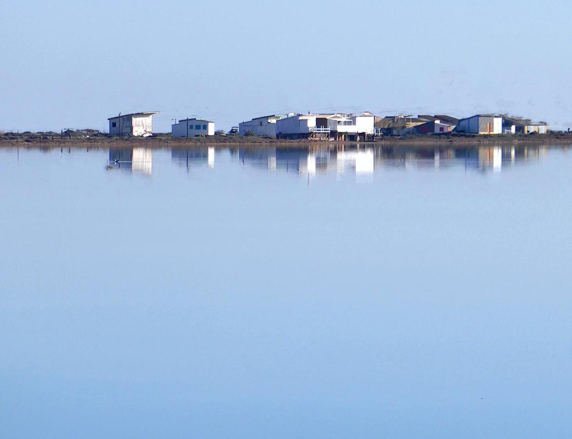 Hébergement de vacances La Petite Maison Bleue Gruissan